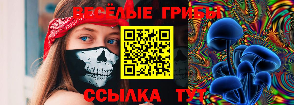 Галлюциногенные грибы GOLDEN TEACHER  Вход с VPN  Галлюциногенные грибы мухоморы  Озёрск 